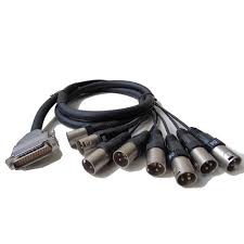 Redco DB25 to XLR Male 8-Channel Cable Assembly 10 Ft