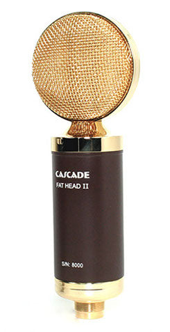 Cascade Fathead II Ribbon Microphone