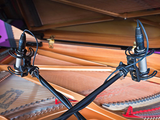 Rycote Invision INV-7 Suspension Mount for smaller microphones