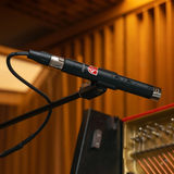 Lauten Audio LA-120 V2 SDC Microphone Pair