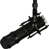 Lauten Audio LS-208 Front Address LDC Microphone