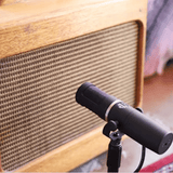 AEA KU5A Supercardioid Ribbon Microphone