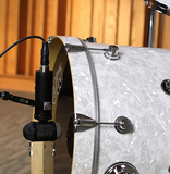Lauten Audio LS-308 Highly-Directional LDC Microphone