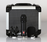 Lauten Audio LS-208 Front Address LDC Microphone