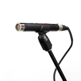 Lauten Audio LA-120 V2 SDC Microphone Pair