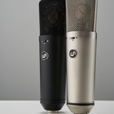 Warm Audio WA-87 R2 LDC microphone WA87