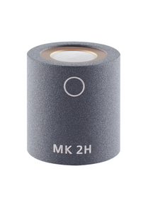 Schoeps MK 2H Omni microphone capsule with Mild elevation Single