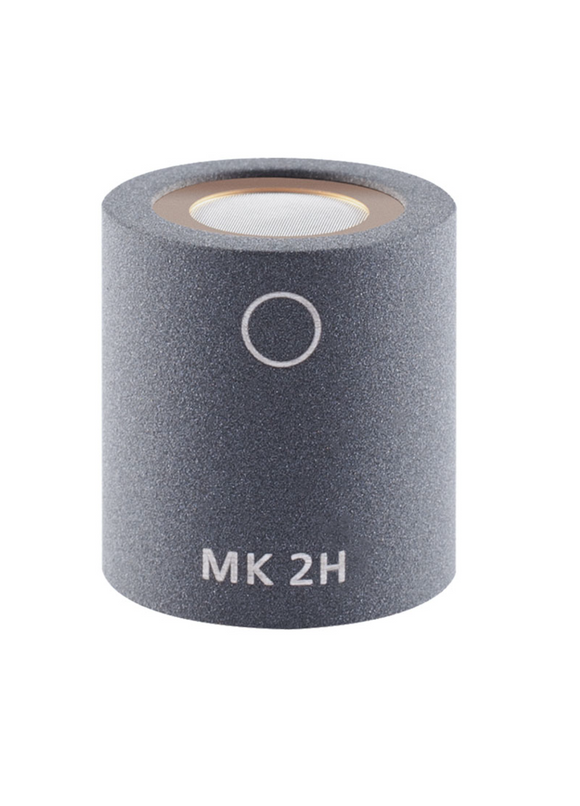 Schoeps MK 2H Omni microphone capsule with Mild elevation Single